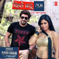 Dihle Badu Gham Anand Raj Anand,Vikrant Marwah Song Download Mp3