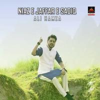 Niaz E Jaffar E Sadiq Ali Hamza Song Download Mp3