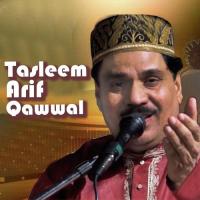 Bhala Kya Shok Likhay Tasleem Arif Qawwal Song Download Mp3