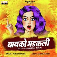 Baiko Bhadakali Vijayraj Nikam Song Download Mp3