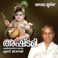 Aadi Chaithanyamayi S. Janaki Song Download Mp3