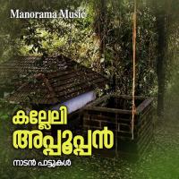 Vadakkan Kathrika Preetha Aarthi Song Download Mp3