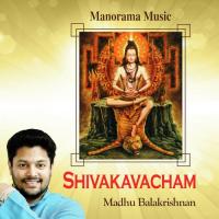 Namameesa Madhu Balakrishnan Song Download Mp3