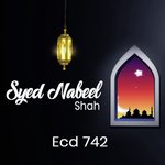 Hazoor Shah E Wala Ki Inayat Syed Nabeel Shah Song Download Mp3