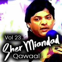 Madiney Diyan Pak Galiyan Sher Miandad Qawaal Song Download Mp3