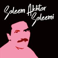 Bhul Gaiyan Salim Akhtar Salimi Song Download Mp3