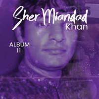 Main Haan Tera Sawali Sher Miandad Khan Qawwal Song Download Mp3