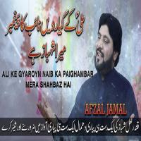 Ali Ke Gyaroyn Naib Ka Paighambar Mera Shahbaz Hai Afzal Jamal Song Download Mp3