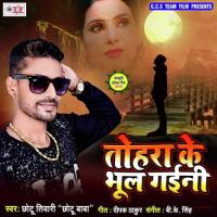 Tohara Ab Ta Bhul Gaini Chhotu Tiwari Song Download Mp3