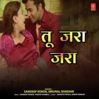 Tu Zara Zara Sandeep Rokde,Yogesh Kamble,Mrunal Randhir Song Download Mp3