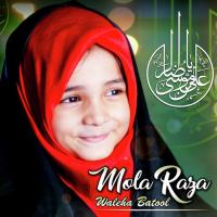 Mola Raza Waleha Batool Song Download Mp3