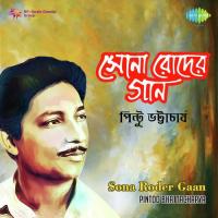 Sahasa Elo Barasha (From "Panna Heerey Chuni") Shyamal Mitra,Pintoo Bhattacharya Song Download Mp3