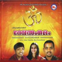 Chettikulangara Ammakku Nikhil Raj Song Download Mp3