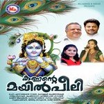 Ambaadiyil Azhakerum Haritha Hareesh Nair Song Download Mp3