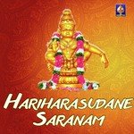 Bhagavan Saranam Bhagavathi Saranam Veeramani Raju Song Download Mp3