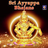 Sharanam Ayyappa Swami Erode Rajamani Song Download Mp3