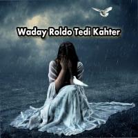 Tede Bahj Mazhar Ali Mazhar Song Download Mp3