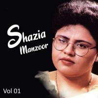 Dil Da Jaani Shazia Manzoor Song Download Mp3