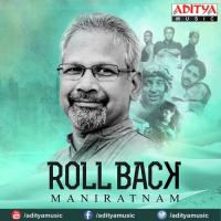 Meda Paina S. P. Balasubrahmanyam,K. S. Chithra Song Download Mp3