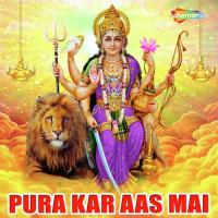 Dj Chunari Nariyarawa A Maiya Sunil Super Fast Song Download Mp3