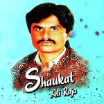 Ro Ro Kay Din Langay Shaukat Ali Raja Song Download Mp3