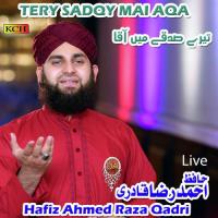 Mery Aqa Madinay Mai (Live) Hafiz Ahmed Raza Qadri Song Download Mp3