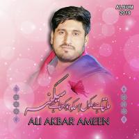 Milta Hy Sukun Us Ko Jo Kehta Hy Sakina Ali Akbar Ameen Song Download Mp3