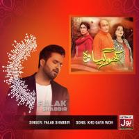 Kho Gaya Woh Falak Shabir Song Download Mp3