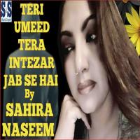 Teri Umeed Tera Intezar Jab Se Hai Sahira Naseem Song Download Mp3