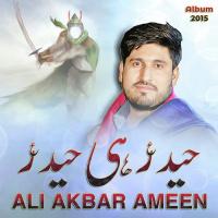 Haider Hi Haider (as) Ali Akbar Ameen Song Download Mp3