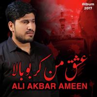 Ya Ali Ya Ali Ya Ali Ali Akbar Ameen Song Download Mp3