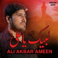 Zehra Ki Betiyan Ali Akbar Ameen Song Download Mp3