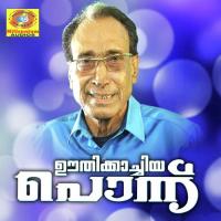 Aalamakhilam Eranholi Moosa Song Download Mp3