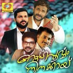 Neyyanellam Najeem Song Download Mp3