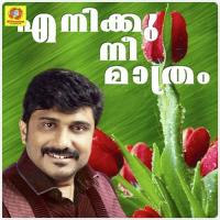 Minu Minu Malarin Afsal,Rajalakshmi Song Download Mp3