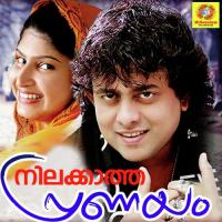 Chembakapoopole Yoonus Song Download Mp3