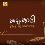 Parayathe Parayunna Nikhil Chandran Song Download Mp3