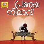 Nettiyil Annu Njan Biju Narayanan Song Download Mp3