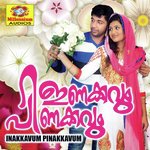 Nenjinullile Vedhana Saleem Kodathoor Song Download Mp3