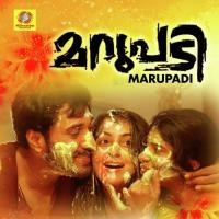 Melle Vannupoyi Varsha Vinu Song Download Mp3