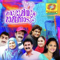 Mamalanattil Thajudheen Vatakara Song Download Mp3