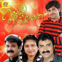 Oru Nallil Thajudheen Song Download Mp3