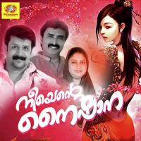 Aaru Paranhedi Thajudheen Song Download Mp3