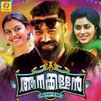 Ninneyonnu Kaanaanaayi Biju Menon Song Download Mp3