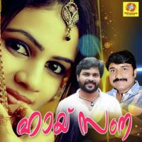 Arikil Paadum Pole Kollam Shafi,Rahna Song Download Mp3