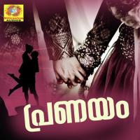 Pranayam Vazhimaari Shakeer Valakkayi Song Download Mp3