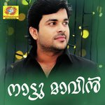 Kanne Kanmaniye Shafi Kollam Song Download Mp3