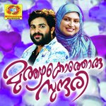 Neeyezhuvarnnamayi Sabir Song Download Mp3