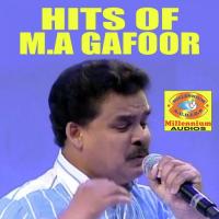 Poonila Punchiri Gafoor Song Download Mp3