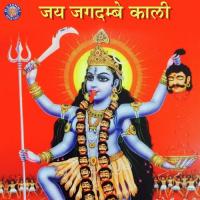 Durga Suktam Vighnesh Ghanapaathi,Gurumurthi Bhat,Shridhara Bhat Vedadhara Song Download Mp3